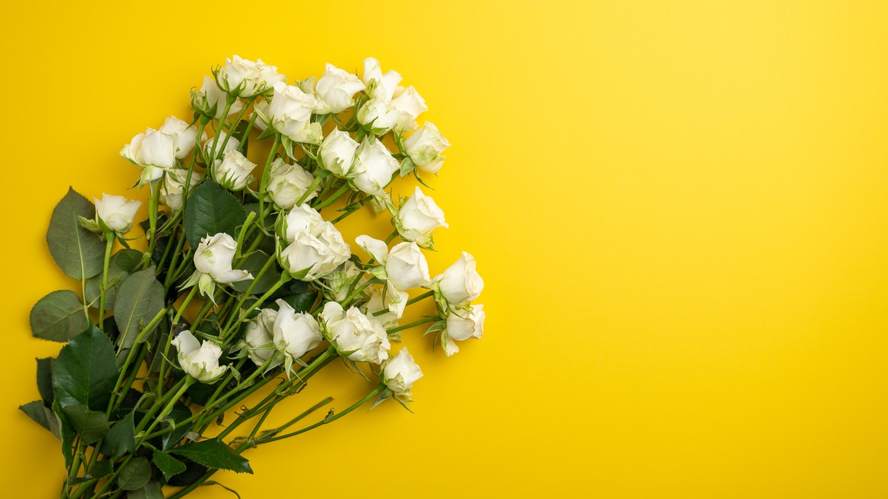 pexels-brett-sayles-4425160