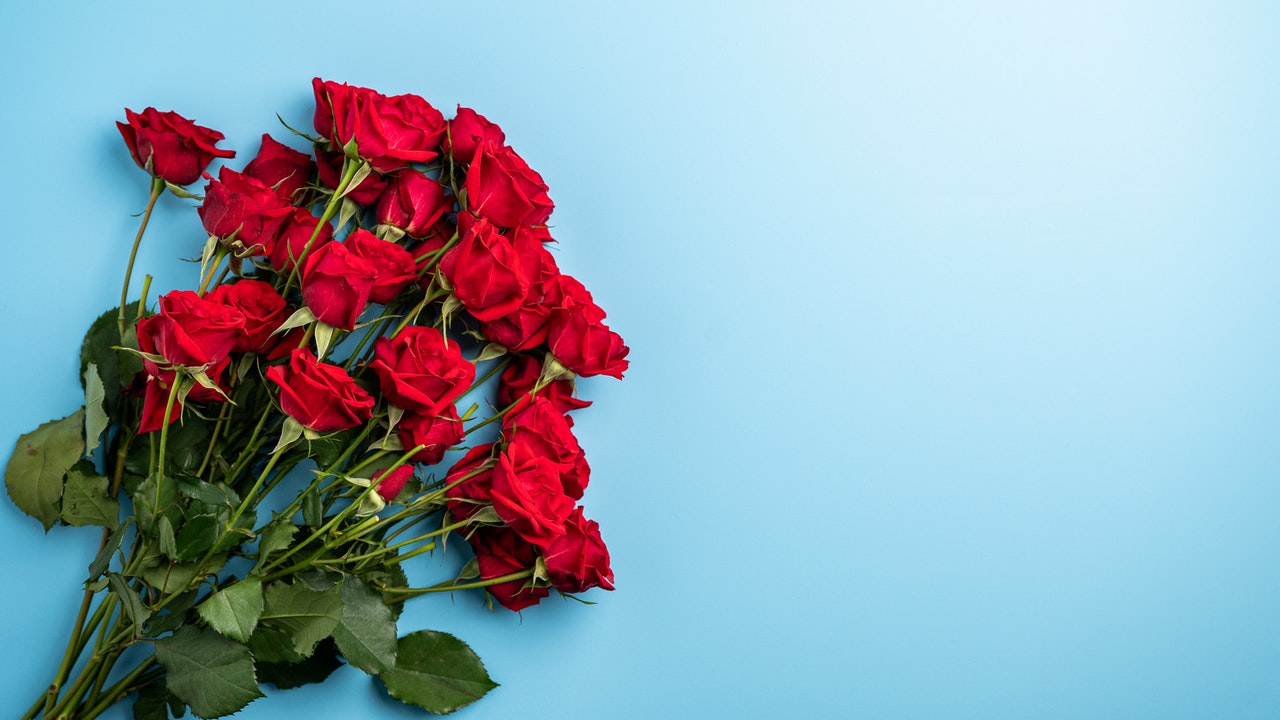 pexels-brett-sayles-4455013